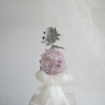 Edited with Labbet app